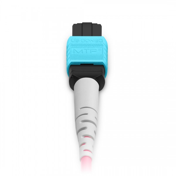 1m (3ft) MTP® Harness, MTP®-8 UPC (Female) to 4 x LC UPC Duplex, 8 Fibers, Multimode (OM4), Plenum (OFNP), 0.35dB Max, Type B, Magenta
