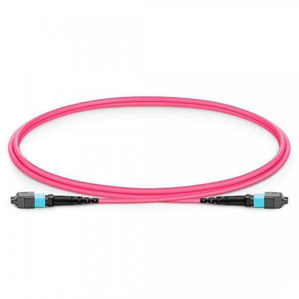1m (3ft) MTP® Jumper, MTP®-12 UPC (Female) to MTP®-12 UPC (Female), 12 Fibers, Multimode (OM4), Plenum (OFNP), 0.35dB Max, Type B, Magenta
