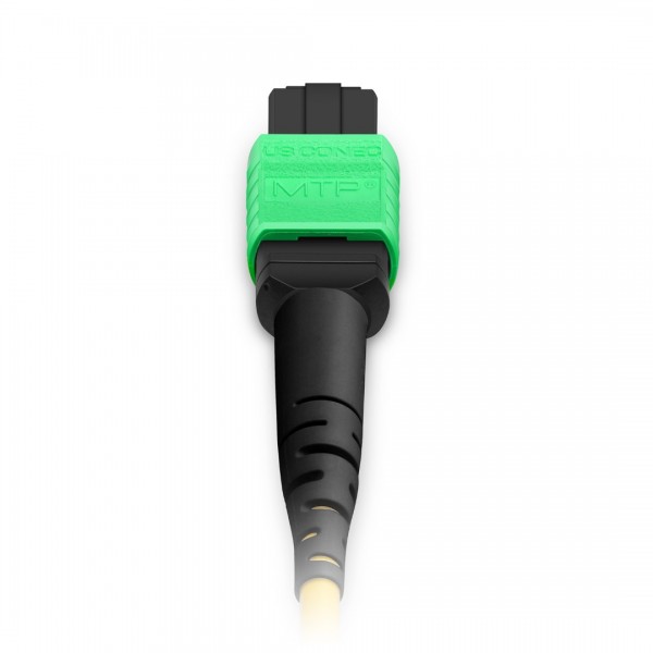 1m (3ft) MTP® Jumper, MTP®-12 APC (Female) to MTP®-12 APC (Female), 12 Fibers, Single Mode (OS2), Plenum (OFNP), 0.35dB Max, Type B, Yellow