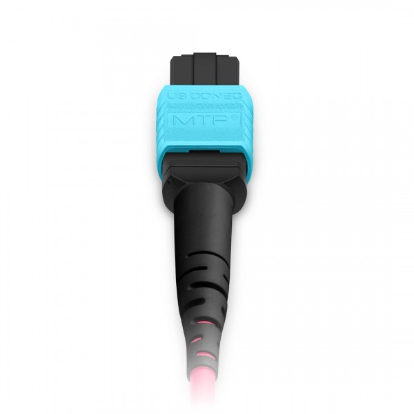 1m (3ft) MTP® Jumper, MTP®-12 UPC (Female) to MTP®-12 UPC (Female), 12 Fibers, Multimode (OM4), Plenum (OFNP), 0.35dB Max, Type B, Magenta
