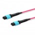 Customized MTP®-12 Jumper, 8-288 Fibers, Multimode (OM4), 0.35dB Max