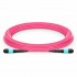 Customized MPO-12 Jumper, 8-144 Fibers, Multimode (OM4), 0.35dB Max, Magenta