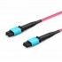 Customized MPO-12 Jumper, 8-144 Fibers, Multimode (OM4), 0.35dB Max, Magenta