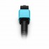 Customized MPO-12 Jumper, 8-144 Fibers, Multimode (OM4), 0.35dB Max, Magenta