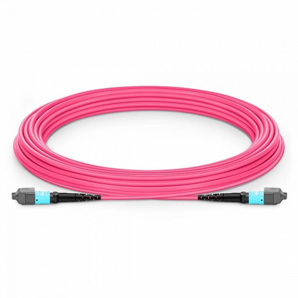 Customized MTP®-12 Jumper, 8-288 Fibers, Multimode (OM4), 0.35dB Max