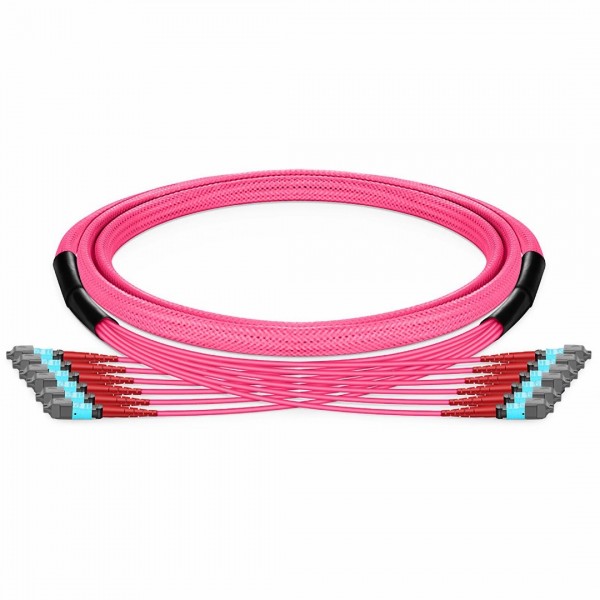 Customized MTP®-24 Jumper, 24-192 Fibers, Multimode (OM4), 0.35dB Max, Magenta