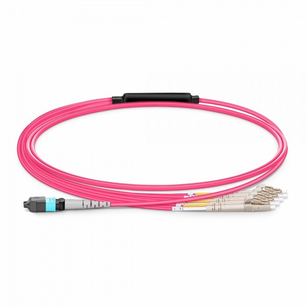 1m (3ft) MTP® Harness, MTP®-8 UPC (Female) to 4 x LC UPC Duplex, 8 Fibers, Multimode (OM4), Plenum (OFNP), 0.35dB Max, Type B, Magenta